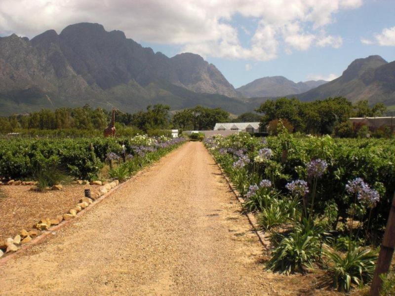 Auberge La Dauphine Guest House Franschhoek Exterior foto