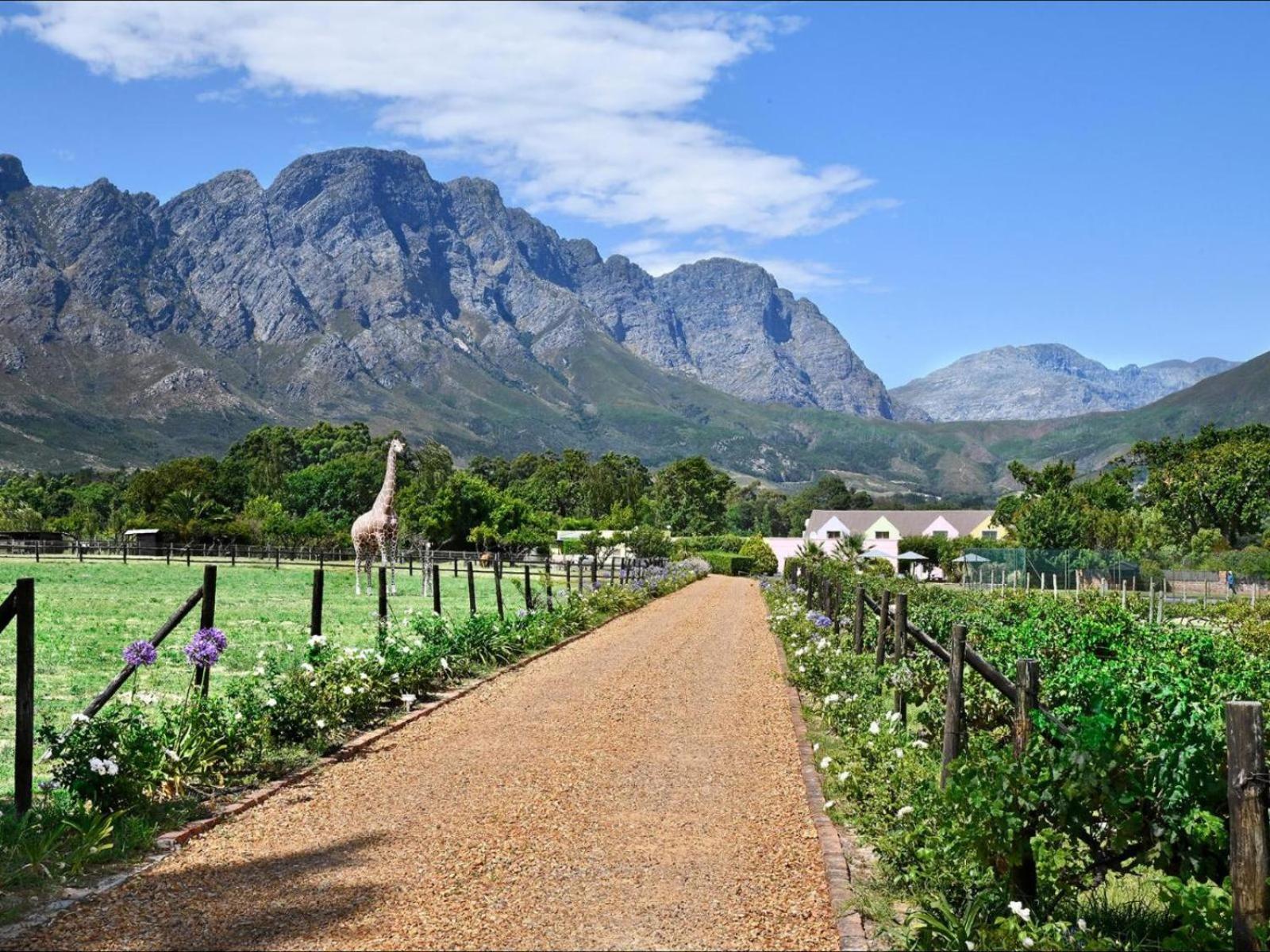 Auberge La Dauphine Guest House Franschhoek Exterior foto