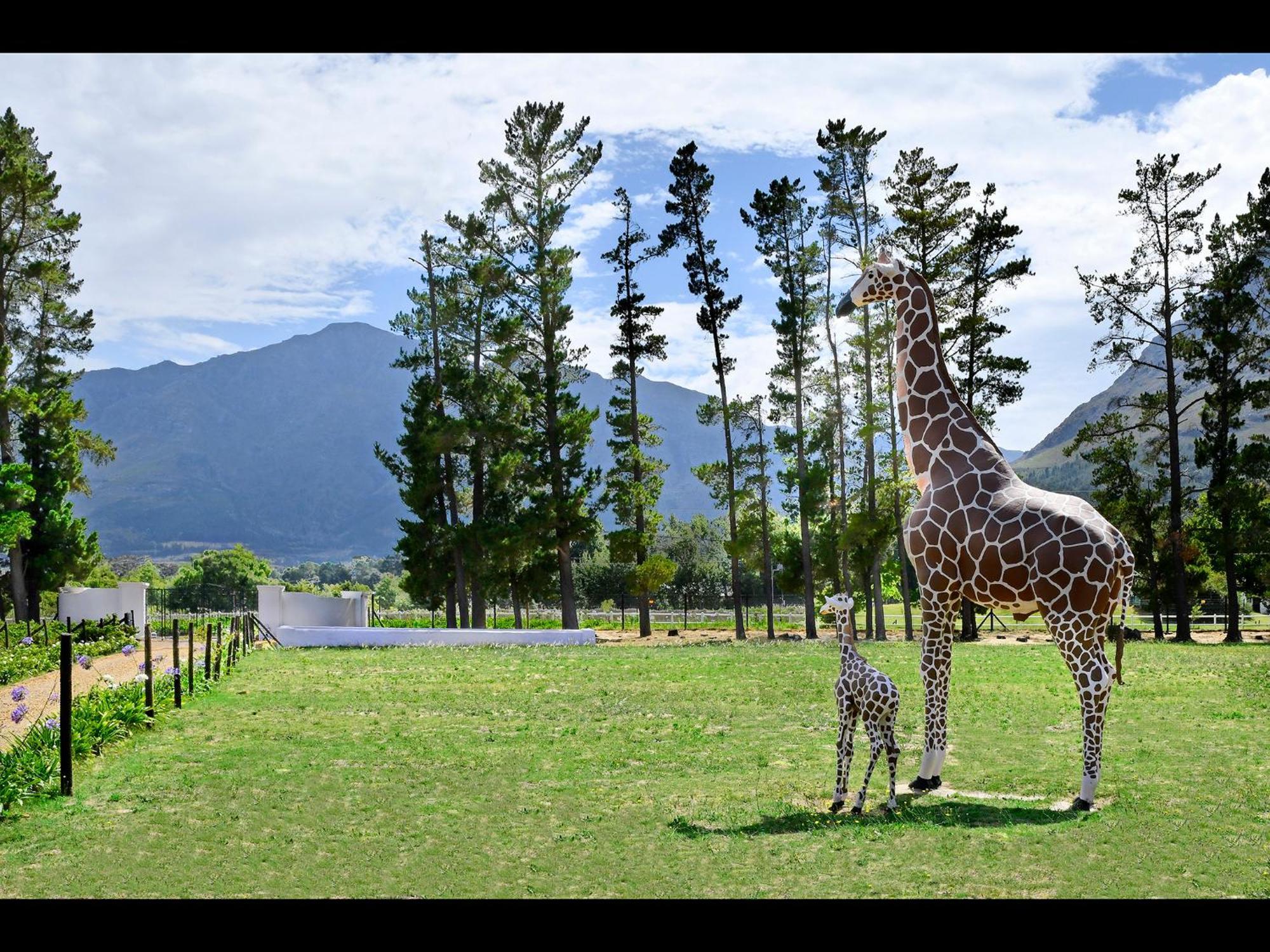 Auberge La Dauphine Guest House Franschhoek Exterior foto